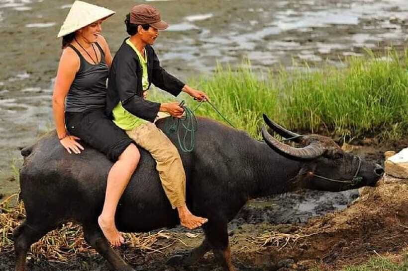 Hoi An Wet Rice Farming Tour-Basket Boat Tour Fishing-Lunch - Noodles and iced coffee at the finish
