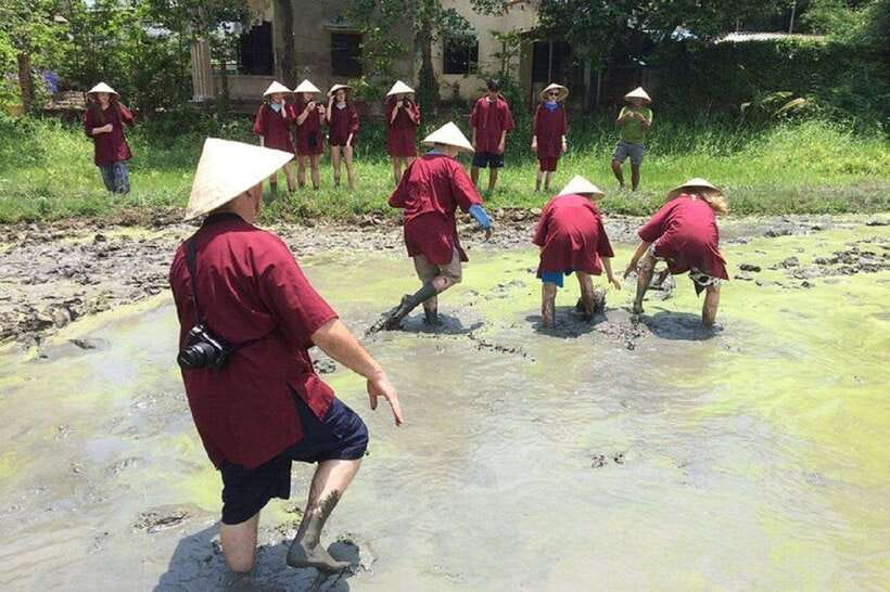 Hoi An Wet Rice Farming Tour-Basket Boat Tour Fishing-Lunch - Getting muddy under the young rice plants