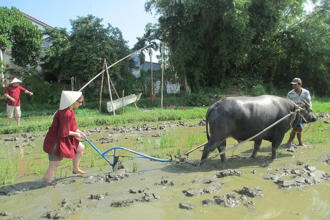 Hoi An Wet Rice Farming Tour Private Round Boat Fishing & Lunch - From Hoi An hotel to the working rice fields