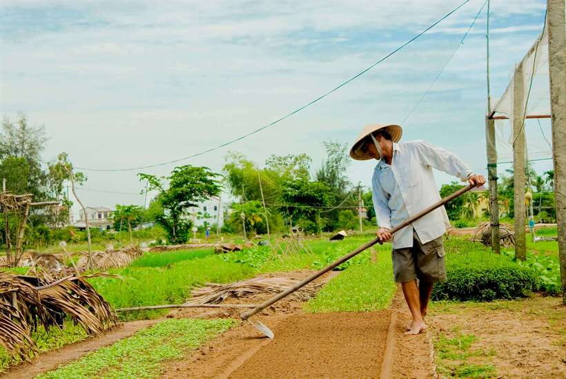 Hoian/Da Nang: Fishing, basket riding and cooking class - A market visit that puts lunch on your table