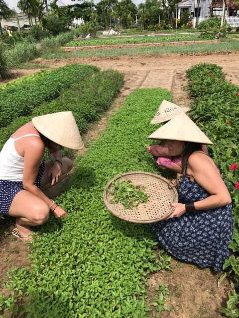 Hoian/Da Nang: Fishing, basket riding and cooking class - Fishing with a traditional round net