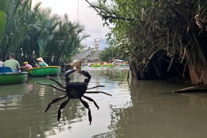 HoiAn:Making Lantern & Cooking Class-BasketBoat Ride,Crab fishing - A basket boat through the nipa palm forest
