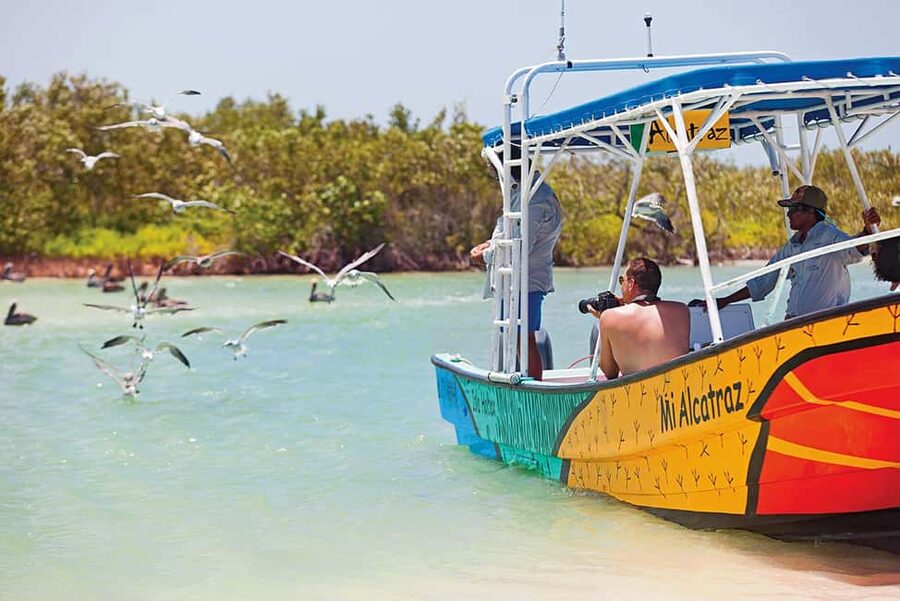 Holbox: Traditional Fishing Tour with Ceviche Tasting - Meeting at VIP Holbox or the beach pier