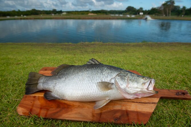 Hook-A-Barra Fishing and Farm Activity - Timing, meeting point, and practical planning
