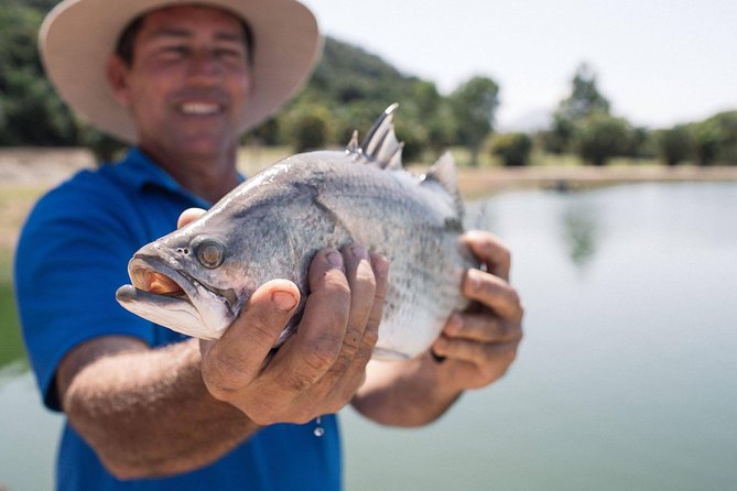 Hook A Barra Fishing Experience - Viewing tanks for non-fishers