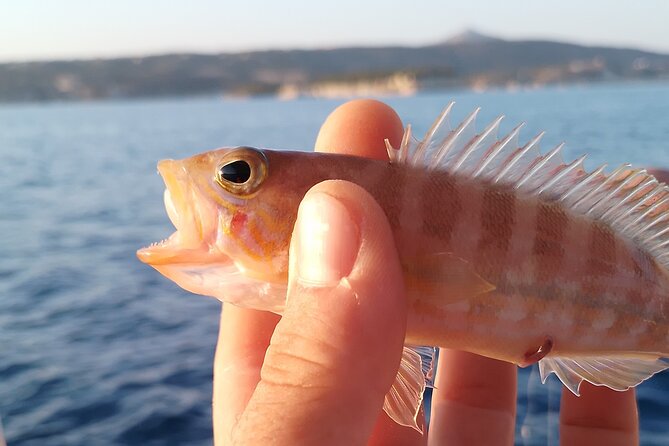 Hook Your Adventure Now with Chania Rod Fishing Experience - What the $102.41 Price Means