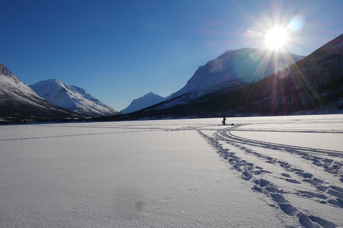Ice Fishing On The Fjord - Who will enjoy this most