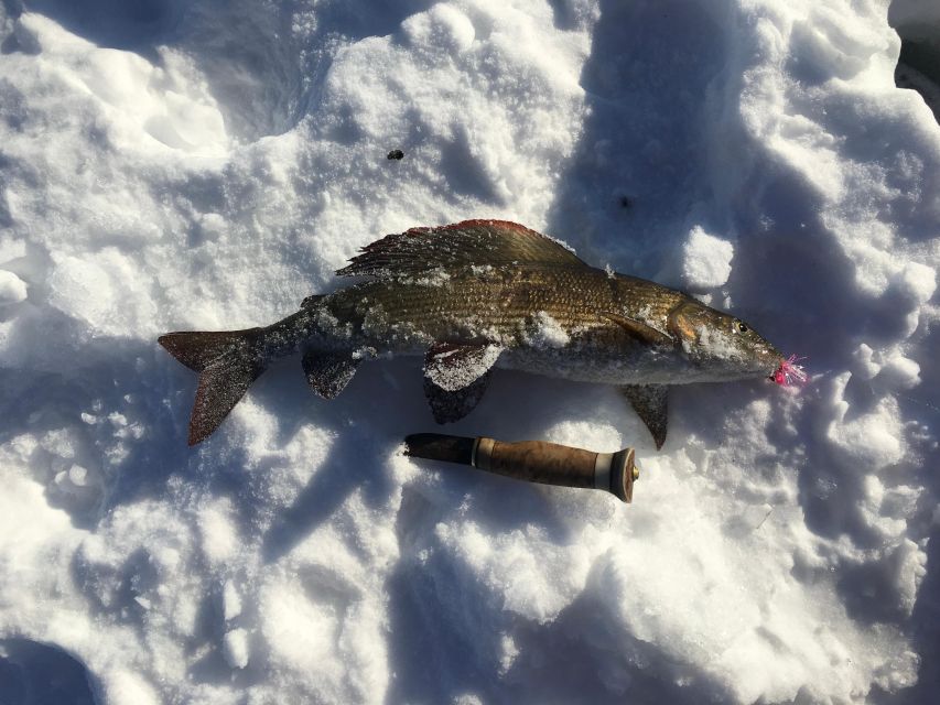 Icefishing and tasting in Lake Inari - Key points at a glance