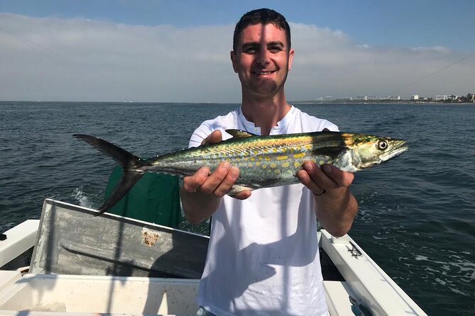 Inshore Fishing 4-Hour Puerto Vallarta Charter - The fish you may target inside the bay