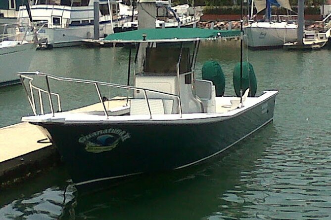 Inshore Fishing 4-Hour Puerto Vallarta Charter - Marina Vallarta meeting point and port fee