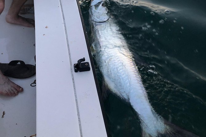 Inshore Sport Fishing with Local Guide - Four hours of changing techniques