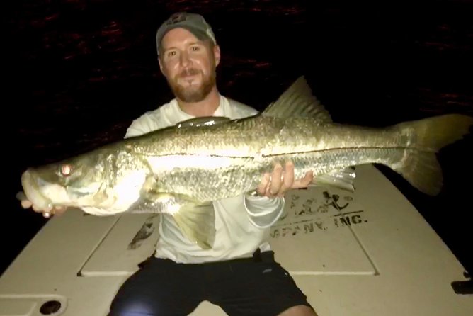 Inshore Sport Fishing with Local Guide - The fish you may target