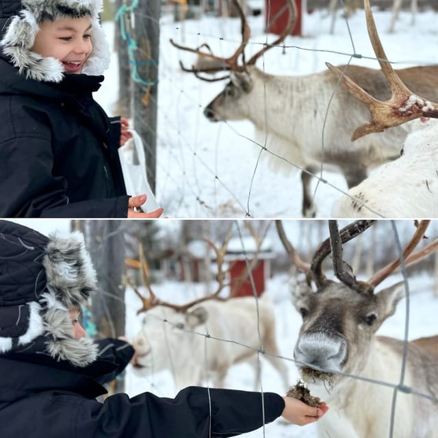 Ivalo: Ice Fishing Tour to Lake Inari, Reindeers & Lunch - What the guide adds to the day