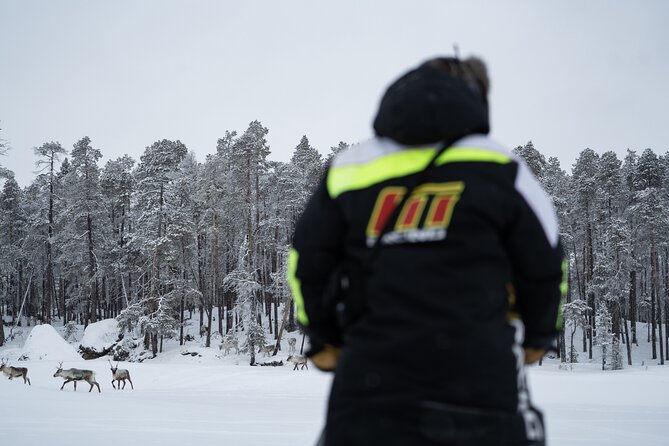 Ivalo: Reindeer herd and fishing experience - Why this feels different from a standard reindeer visit