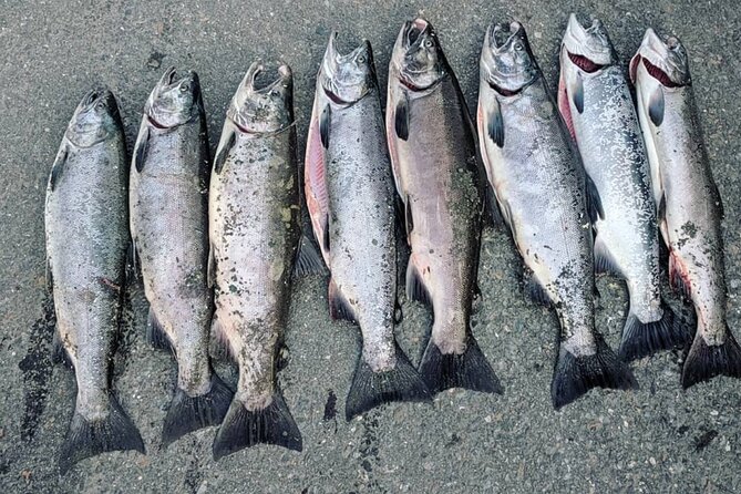 Juneau Shore Fishing Shuttle and Gear - Practical details that can make your day better