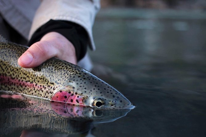 Kenai River Fishing Charter - Five hours on the Kenai and Kasilof Rivers