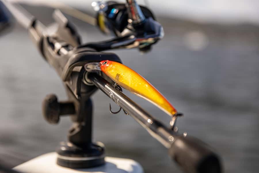 Knysna Lagoon Fishing Charter - Should you book the Knysna Lagoon Fishing Charter?