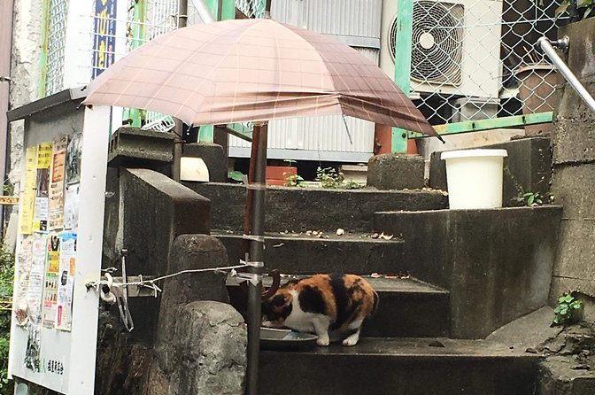 KOBE, SHIOYA, a quaint fishing town walking tour - Small Food Stops and Easy Conversation