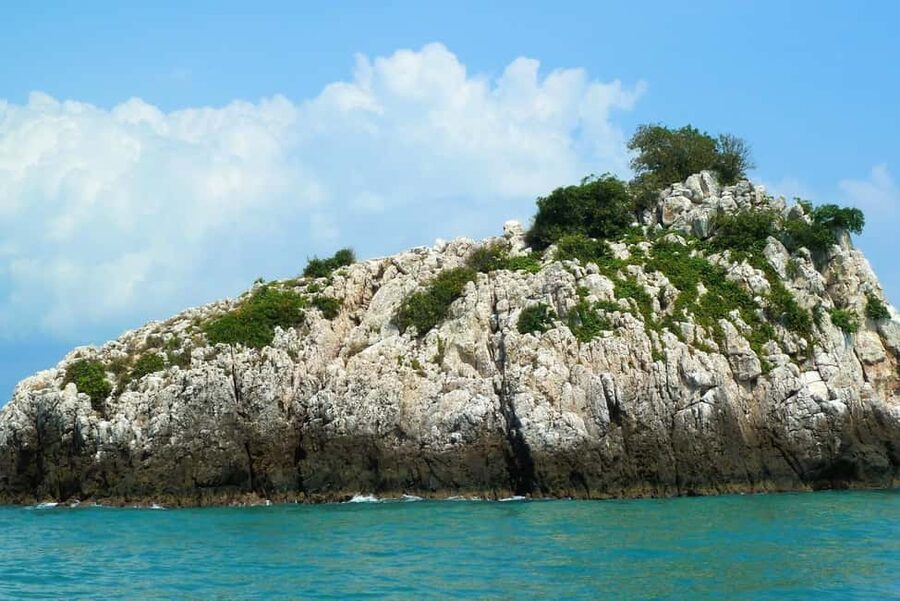 Koh Samui: Fishing Day Tour by Escort Boat with Mr. Tu - A relaxed fishing day, not a trophy catch