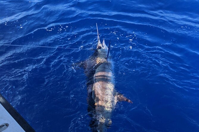 Kona - 5 Hours Private Fishing Charter in Kailua-Kona - The crew makes a big difference