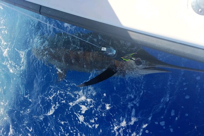Kona - 5 Hours Private Fishing Charter in Kailua-Kona - Weather, cancellation, and practical planning