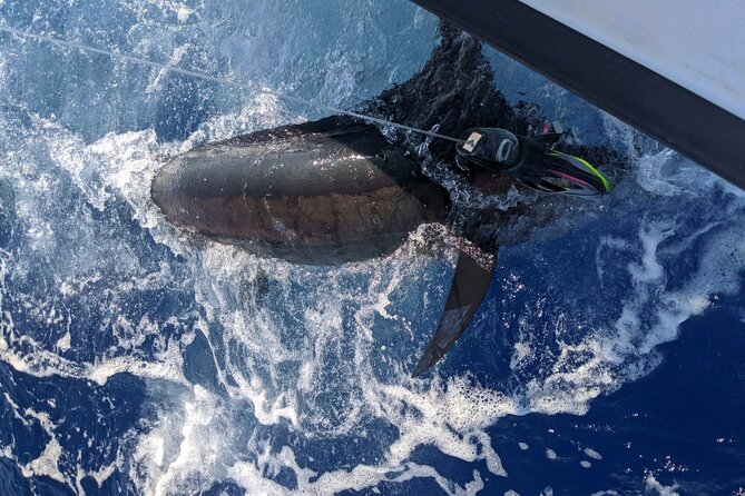 Kona - 5 Hours Private Fishing Charter in Kailua-Kona - Should you book this Kona fishing charter?