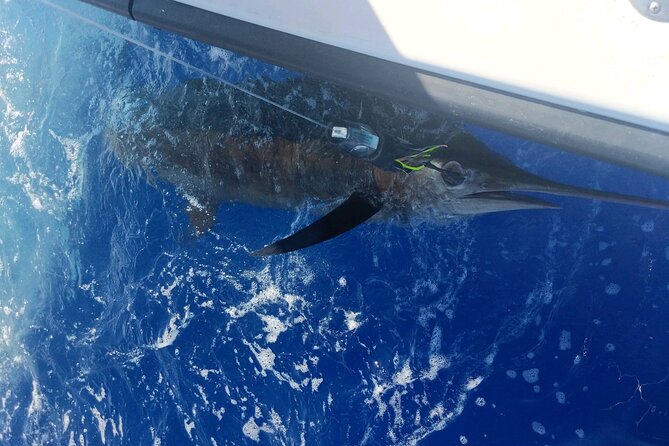 Kona - 6 Hour Private Fishing Charter Kona, Hawaii - Leaving Kealakehe Harbor for Kona’s open water