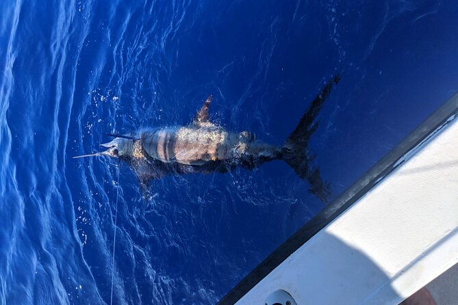 Kona - 6 Hour Private Fishing Charter Kona, Hawaii - What to bring for comfort