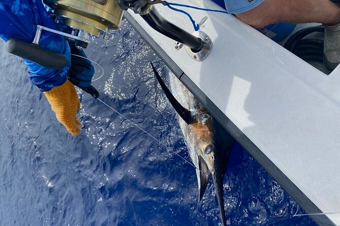 Kona - 8 Hour Private Fishing Charter in Kailua-Kona, Hawaii - What a blue marlin catch can mean