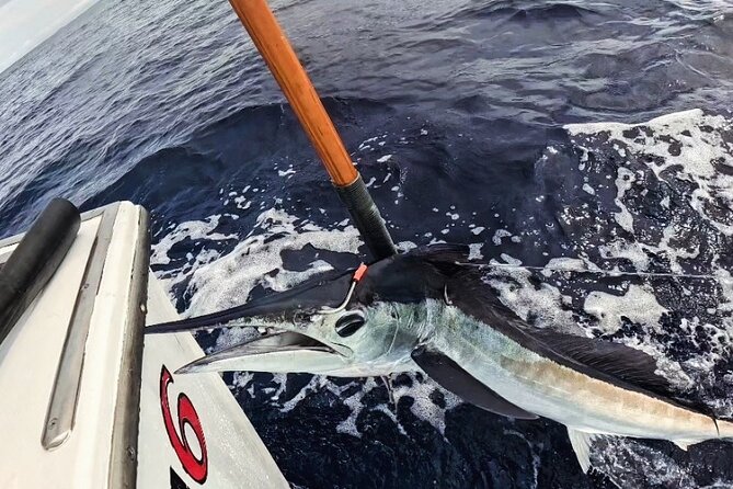 Kona Hawaii Deep Sea Fishing Escapade on the Bite Me 6 - Who will enjoy this Kona fishing charter