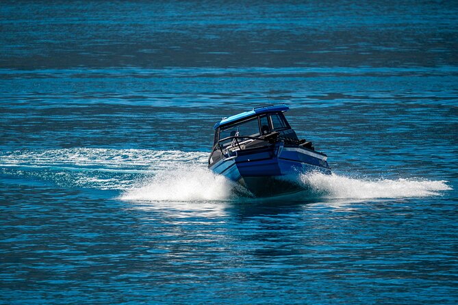 Lake Wānaka: 3 hour Fishing Adventure by Boat - What happens when you land a fish