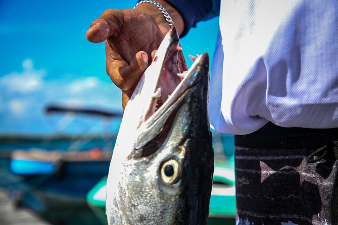 Local Fishing Plus Snorkeling Tour in Isla Mujeres - Fishing first, snorkeling second