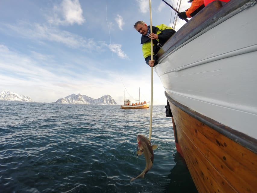 Lofoten: Traditional Fishing Trip - Key points to know before you book