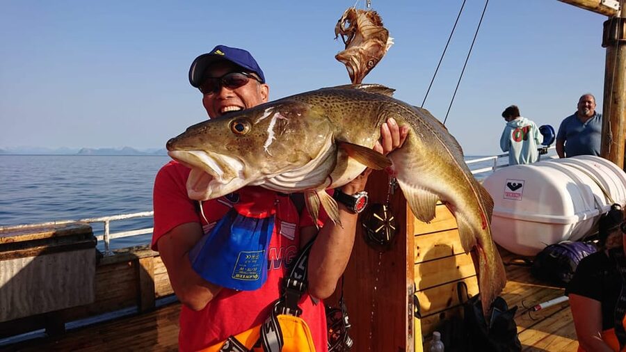 Lofoten: Traditional Fishing Trip - The value of the $146 price