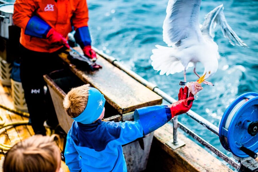 Lofoten: Traditional Fishing Trip - Should you book the traditional fishing trip?
