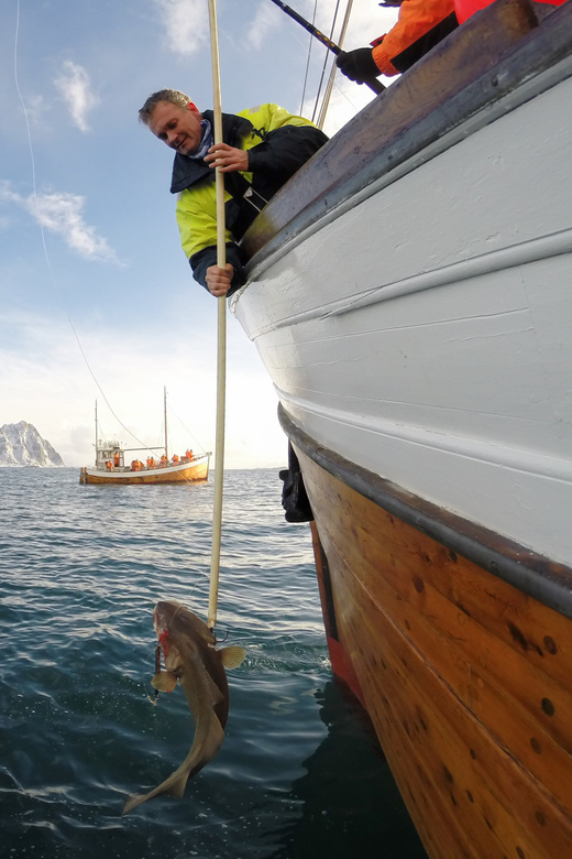 Lofoten: Traditional Fishing Trip - Why the fishing method matters