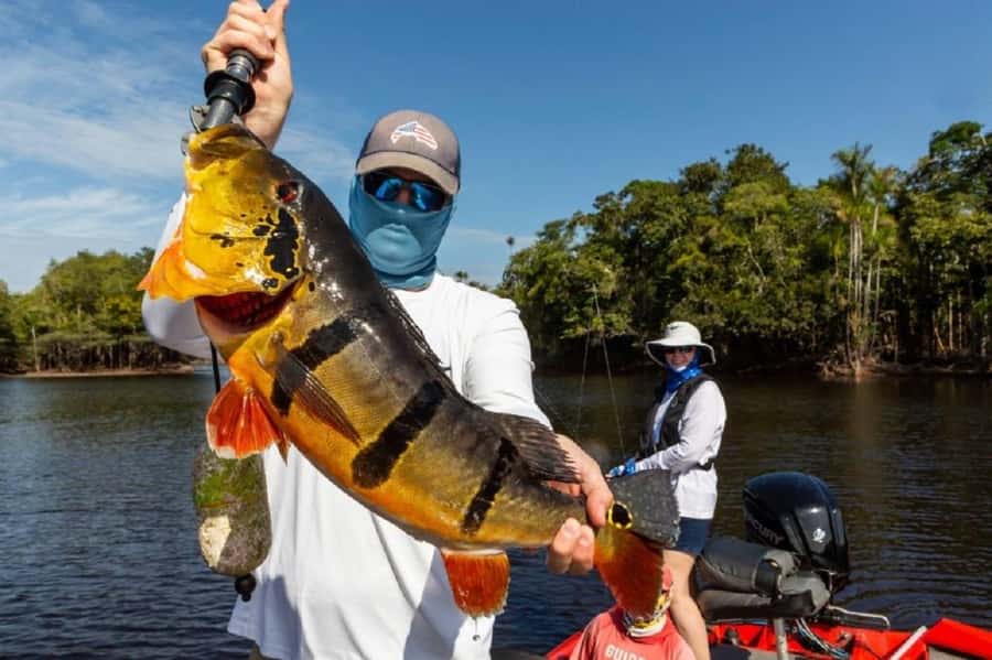 Manaus : A day of fishing on the Rio Negro - Back on the water for the afternoon