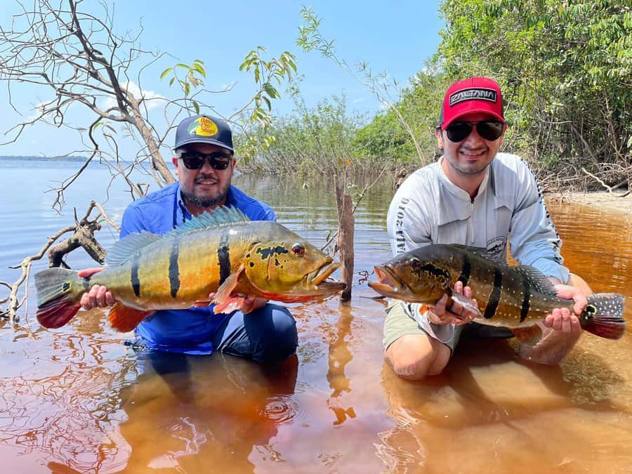 Manaus : A day of fishing on the Rio Negro - What to bring and how to prepare