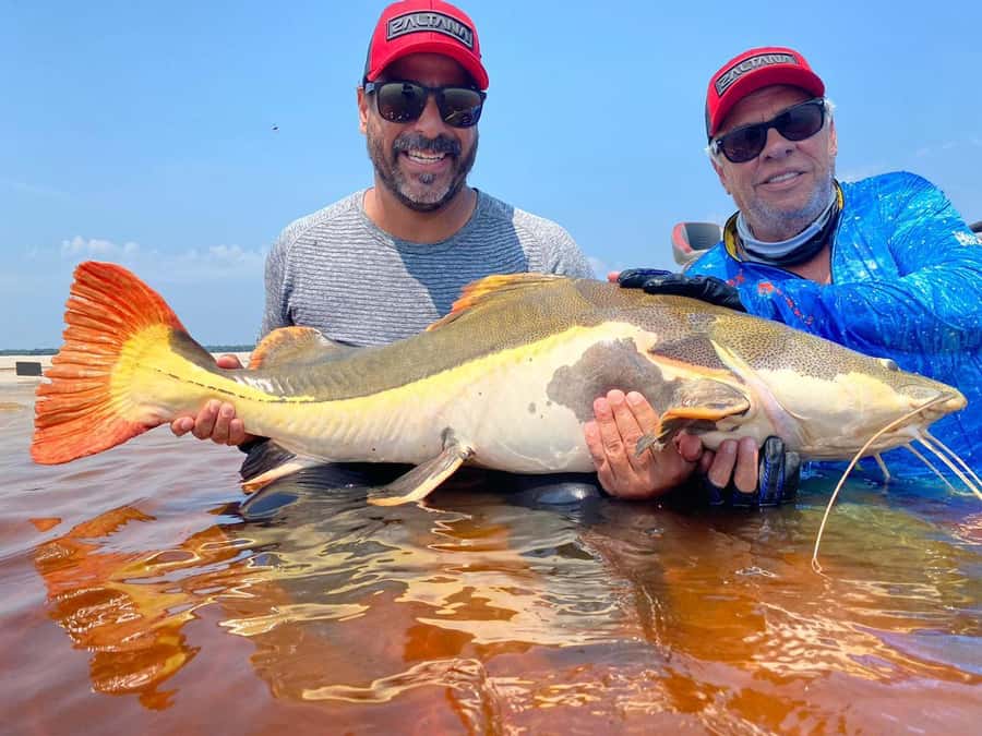 Manaus : A day of fishing on the Rio Negro - What the first fishing session is really like