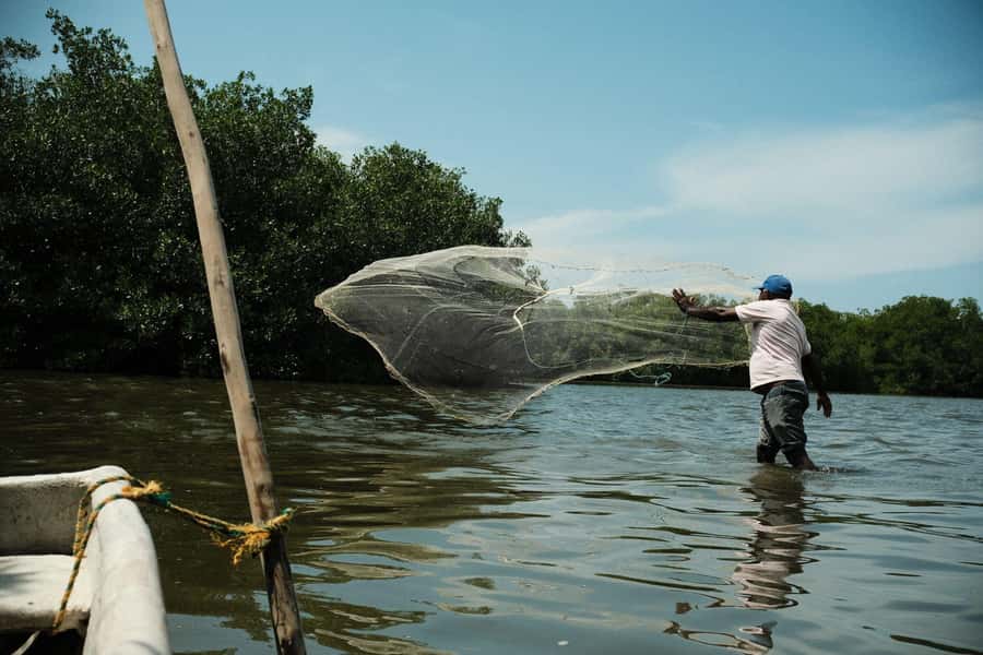 Mangroves, cultural fishing, black heritage town and lunch - Entering the mangrove channels by boat
