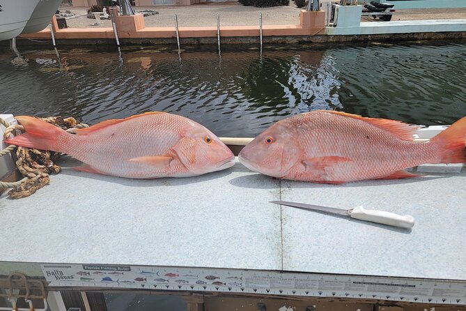 Marathon Florida Keys Fishing Experience - Captain Ed and Mikey’s hands-on approach