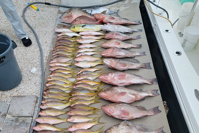 Marathon Florida Keys Fishing Experience - Should you book the Marathon fishing experience?
