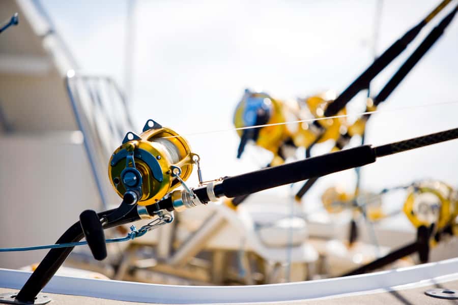 Mauritius: Big Game Fishing Trip from Grand Baie - Key points before you book