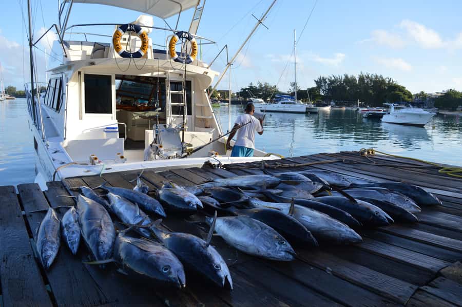 Mauritius: Big Game Fishing Trip from Grand Baie - Why this Grand Baie fishing trip is different