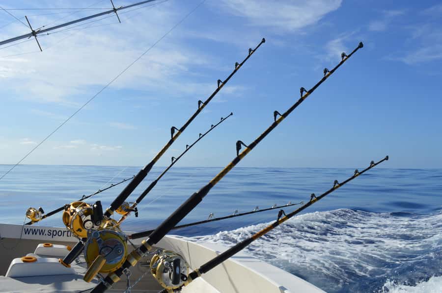 Mauritius: Big Game Fishing Trip from Grand Baie - Coin de Mire and the midday break
