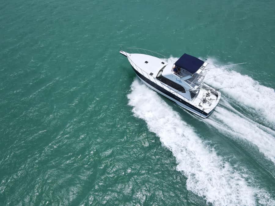 Mauritius: Big Game Fishing Trip from Grand Baie - Returning to Grand Baie