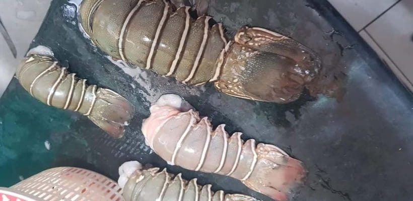 Mumbai Coastal Cooking: From Fishing Net to Flavourful Plate - Why this three-hour Mumbai experience feels different