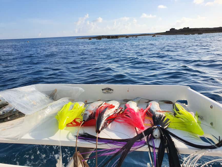 Nassau: Sport-fishing private charter . - What the four-hour Nassau charter is really like