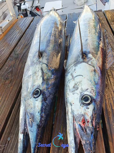 Nassau: Sport-fishing private charter . - Captain Javano, the first mate, and the fishing setup