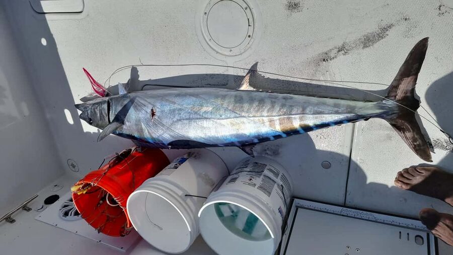Nassau: Sport-fishing private charter . - What happens when the weather changes
